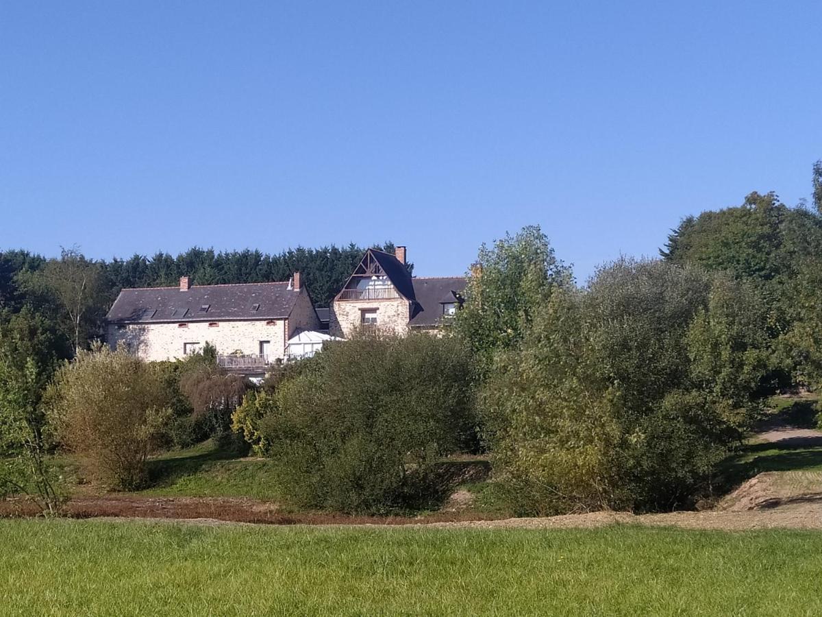 La Pironnière - Piscine, Nature, Au Bord De La Rivière