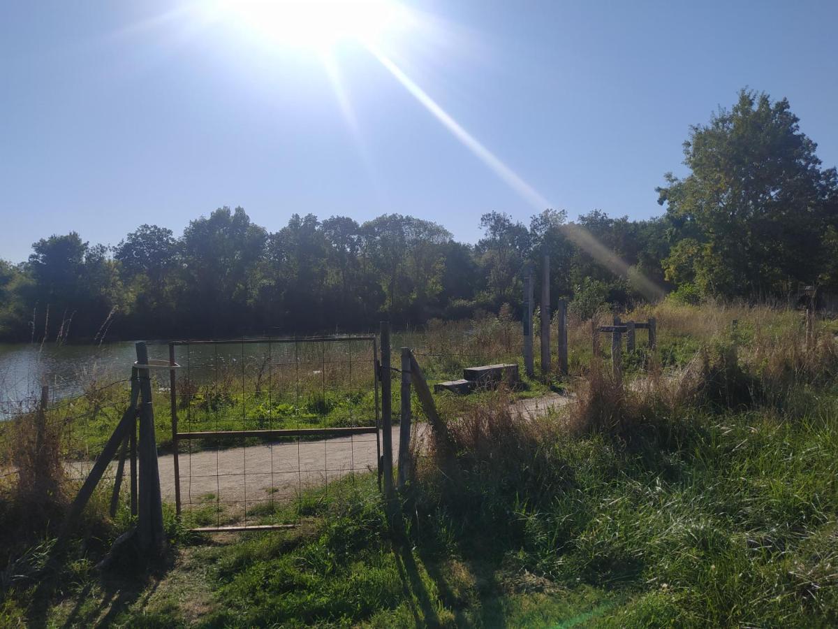Hébergement de vacances La Pironnière - Piscine, Nature, Au Bord De La Rivière